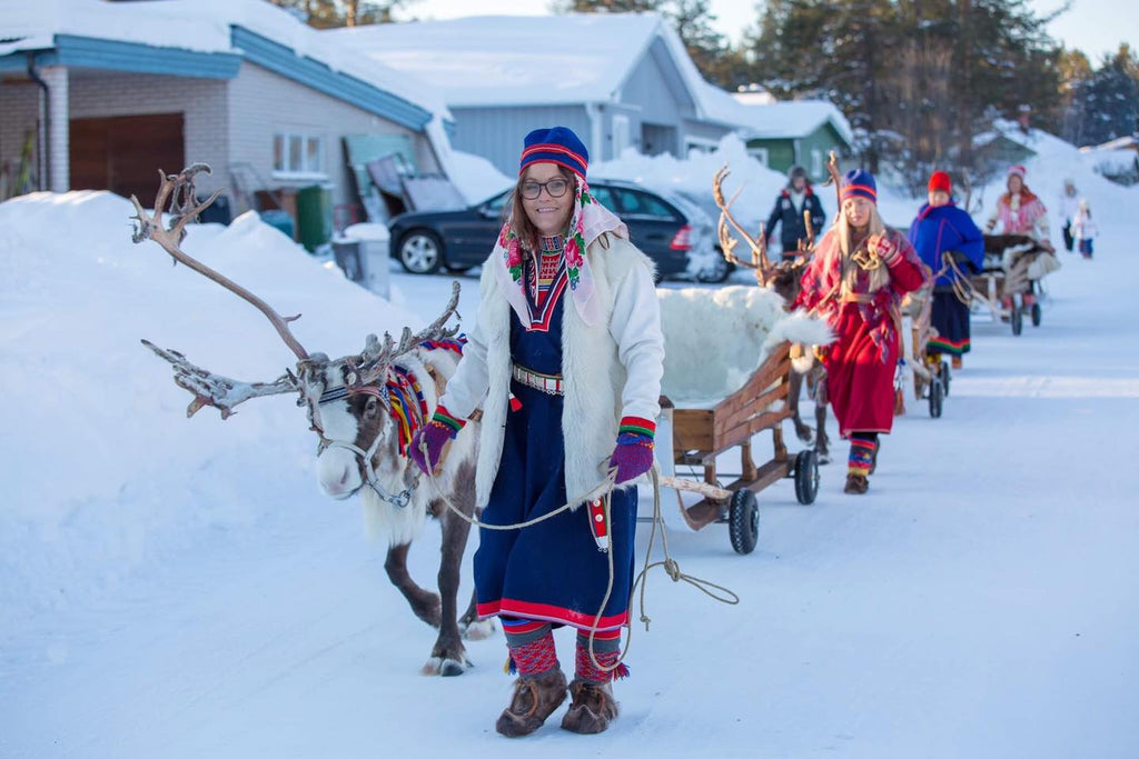 Sápmi ren & vilt